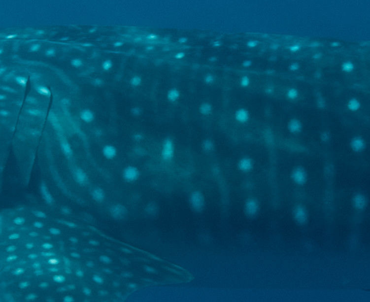 8cd1cdde-41d8-452d-8d8c-35886398b511