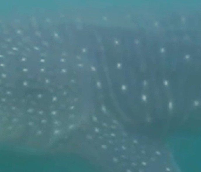 1a39089a-39f0-4ccd-ae63-6652994dfc76