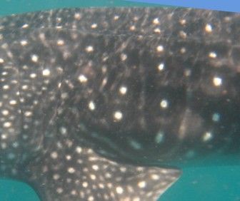 9f58cebe-81e7-49bc-9f2d-f1f8657e1305