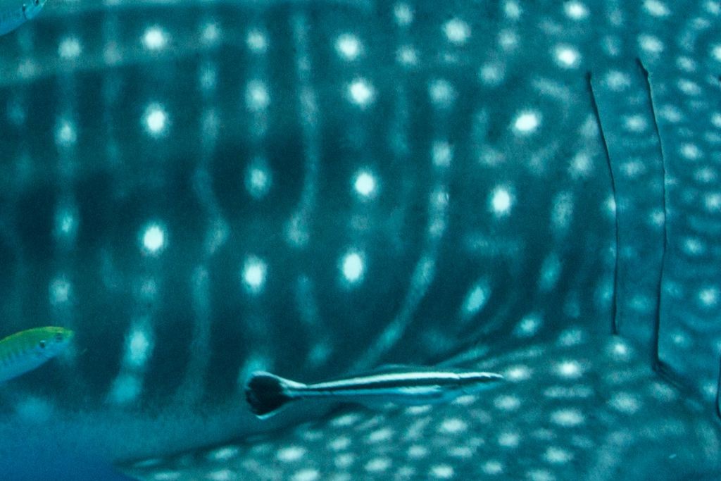 85320be8-654b-4063-92f3-d97e45e33723