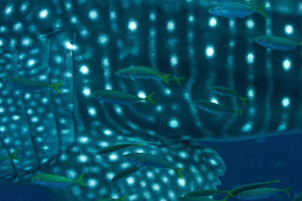 85320be8-654b-4063-92f3-d97e45e33723