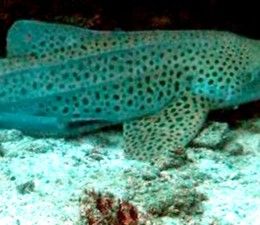 da44e834-b9f9-4b74-9fc7-4e34e12fed0c