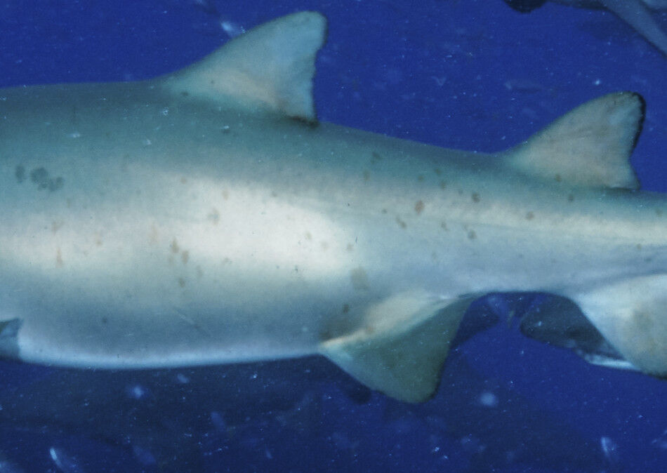 c6ded635-e47f-4c55-a1f8-ec607e723e3c