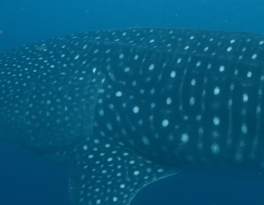 34fbb821-2f01-46ff-b3ad-17ddb5d1dced