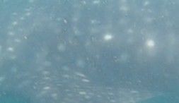 79db5cbb-ce61-494b-96da-01a785d70531