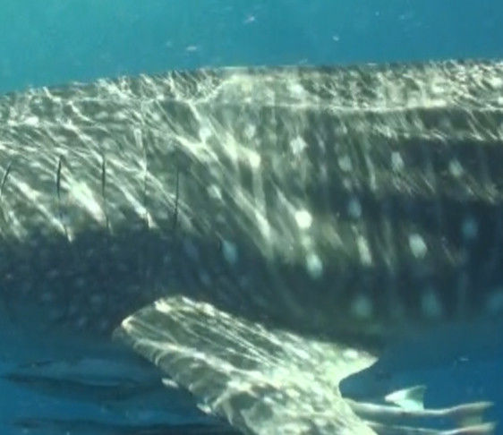 38d330a7-8bf0-496c-abef-6b4a0b474310