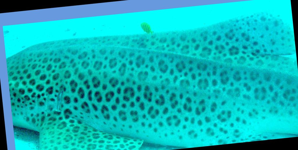 12e962b7-1edb-488e-81ec-d47b4c1ed4db