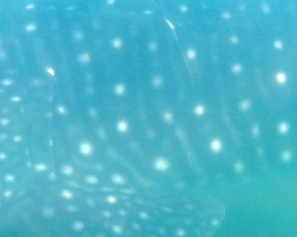 2782065a-ce05-4ce1-9e53-e309ce62bee8