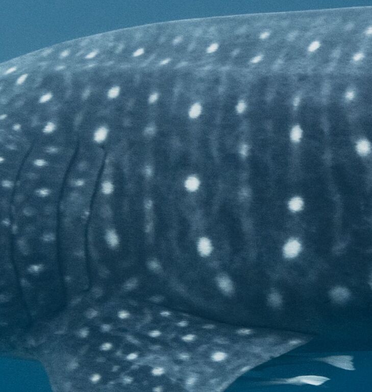 120176b1-ae4d-41d1-ad70-87ff7a4dfb56