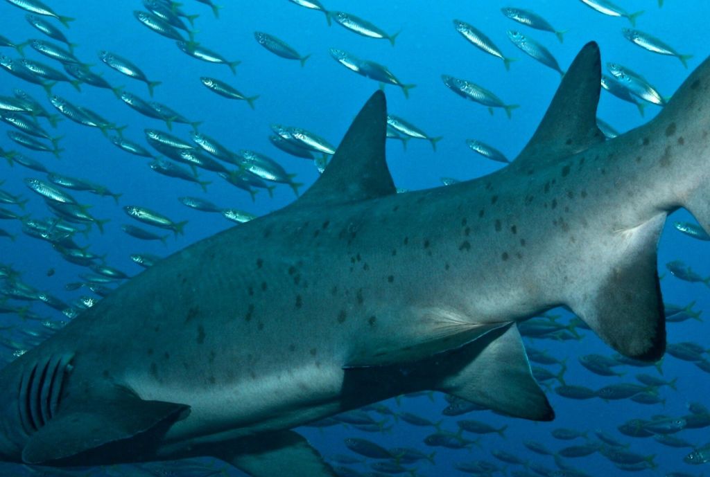 b66b9782-3c42-4348-b451-a3104ef205cd