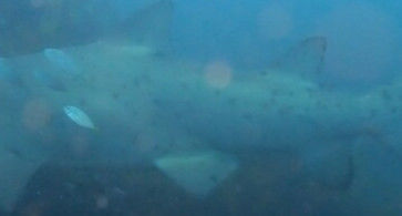 0df84fce-0b52-4a9d-9a41-bdeb12417870