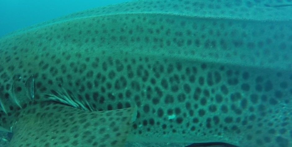 f1cfa6d2-47fe-4988-a2cd-22991b04270c