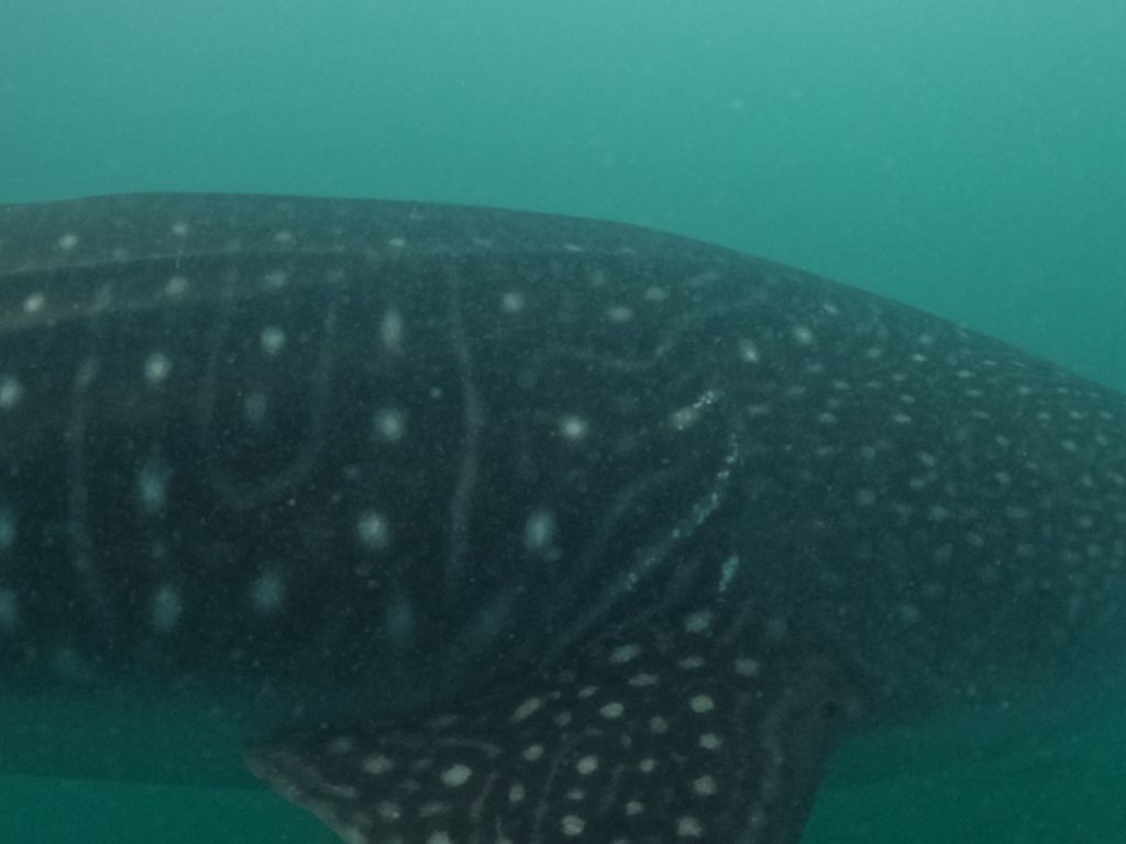 dbe93bc6-9205-4f59-ab18-f30e70d2b15e