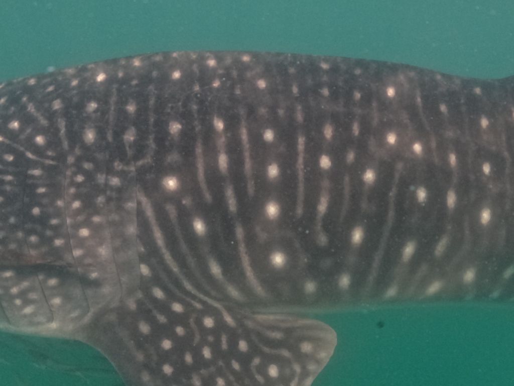 dbe93bc6-9205-4f59-ab18-f30e70d2b15e