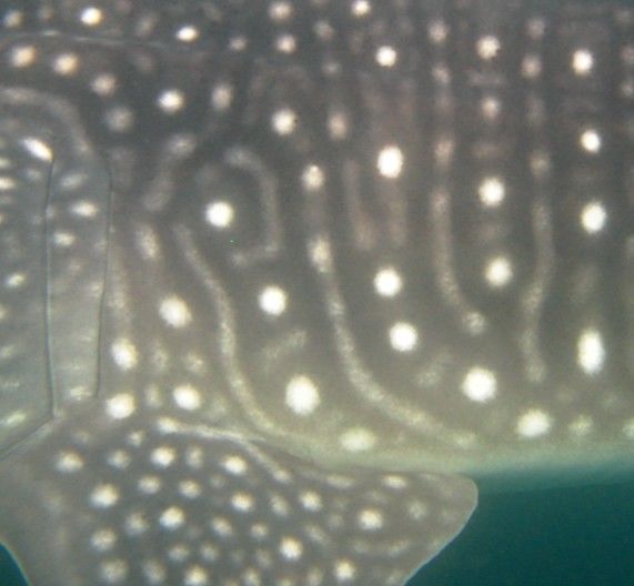 44264767-6736-4d25-8d68-c33173700999