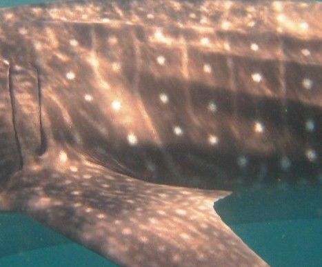 0938d338-3468-478c-87e9-31198e4fe825