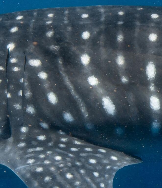 0b509d17-216b-4044-8f74-9876e16b5a12