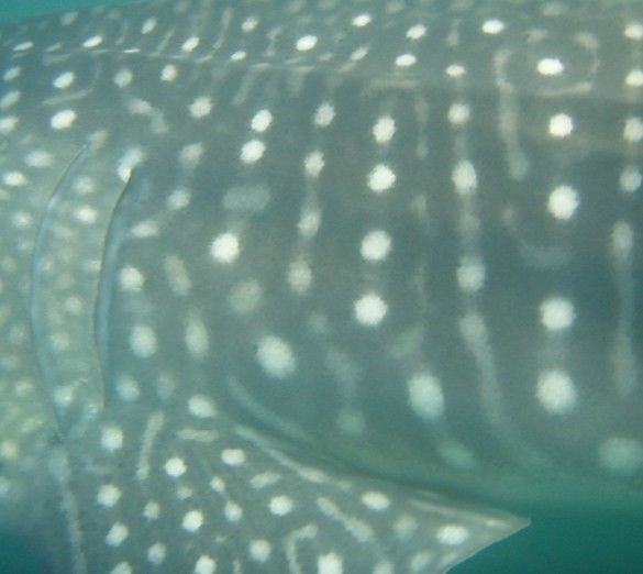 d6c6f5b2-29f7-4f86-ad13-5b85fad5c5c9