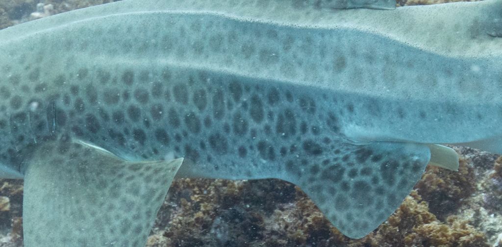 1812cc49-c89c-4d2a-a262-8b94ebd90ab4