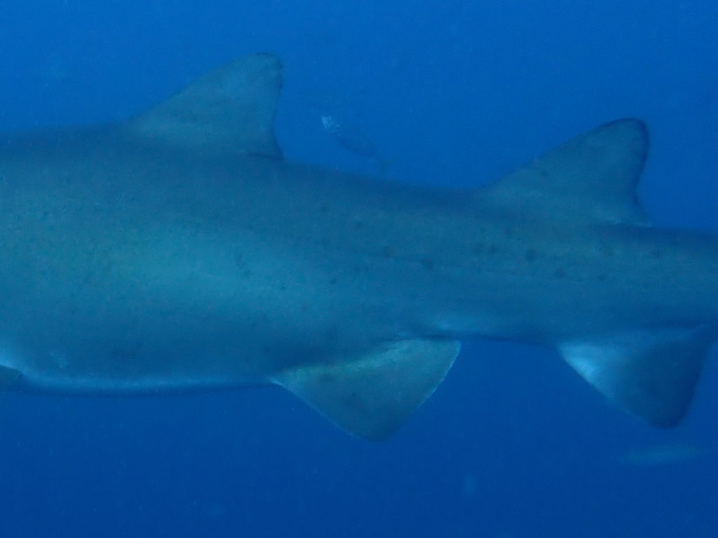 7a30bbb0-125c-495b-9247-2ad69c9dfd10