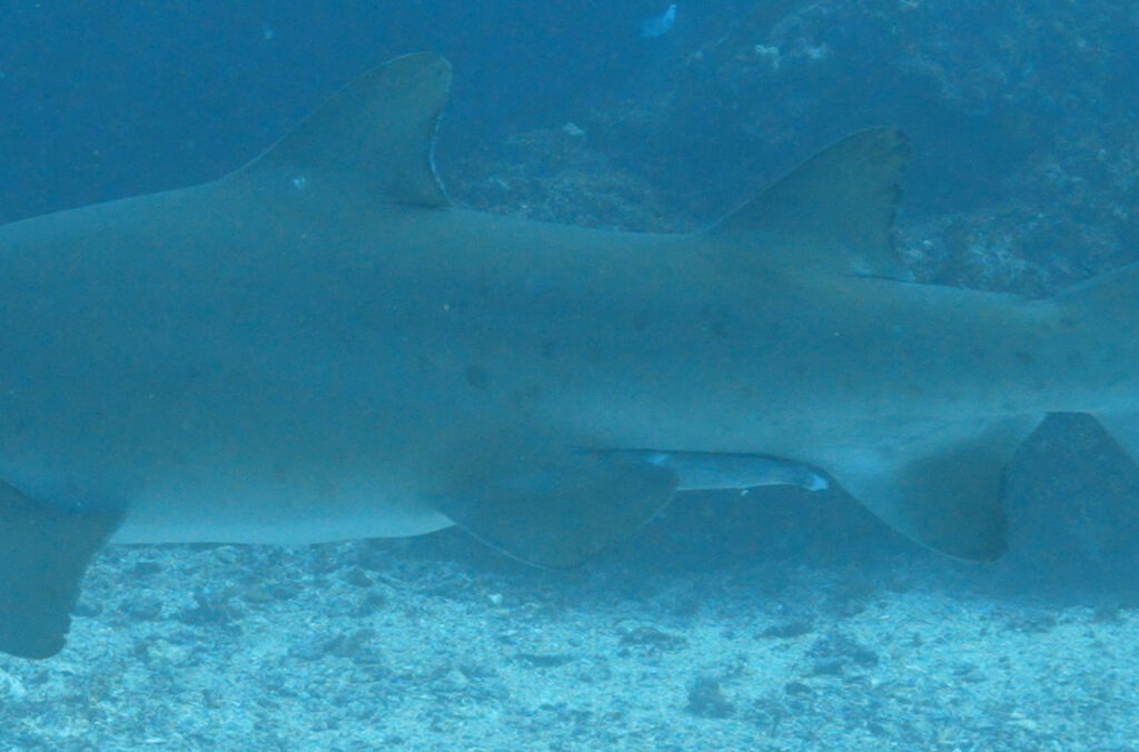 e34ec4b4-721e-4133-b861-aac00e9d2c14