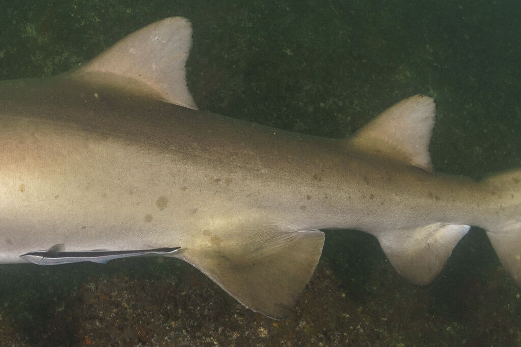 45587c18-5c97-4586-9e6d-da0b57b720d8