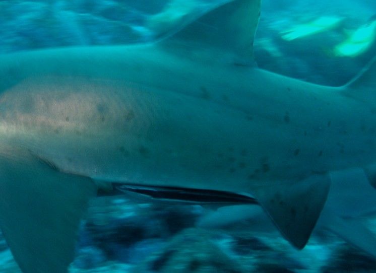 a6b1b268-e772-4b2e-be05-4cdb51721c2e