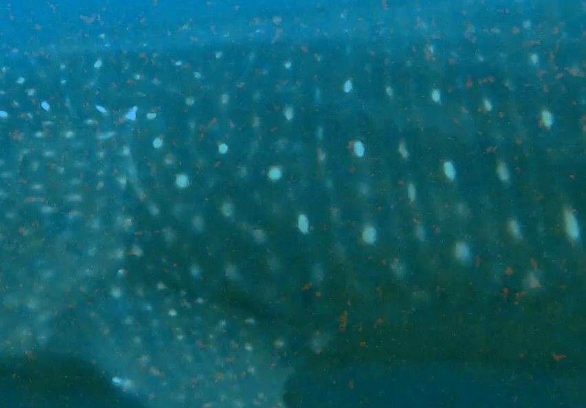 ba4fe454-81bc-43c3-b882-1820e666910d