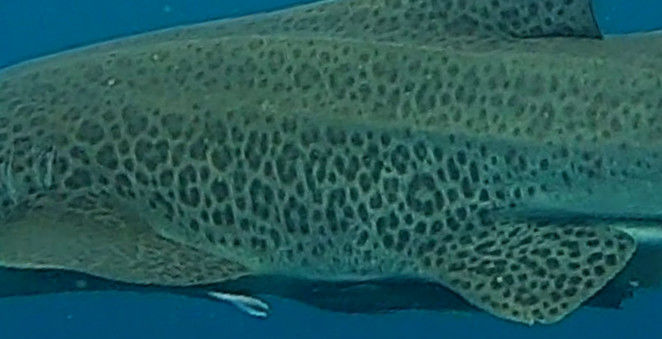 9a20f94f-7c8b-4476-8c86-db3ee513e758