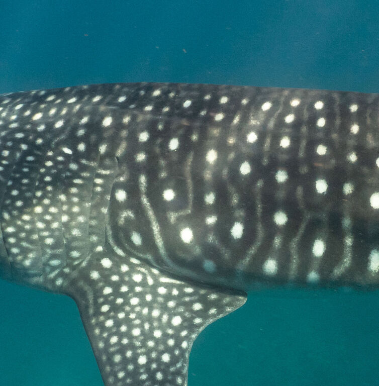 8be6e3a1-609a-42ec-adfa-f0e5dcdc8d05