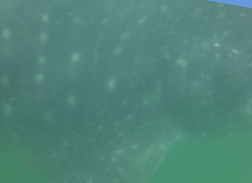 8293c534-2446-4127-9bbd-8bb411971cfc