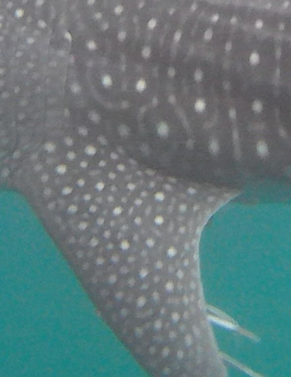 534520a1-6211-4498-b0a3-dfb56c177211