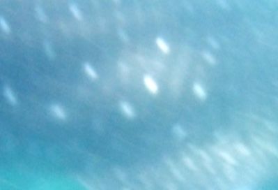 74d9a4fd-93f7-4e2e-b303-d6741243a788