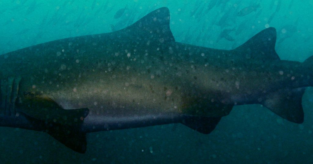 0c67b787-73e2-4b03-8081-8c1532f26825