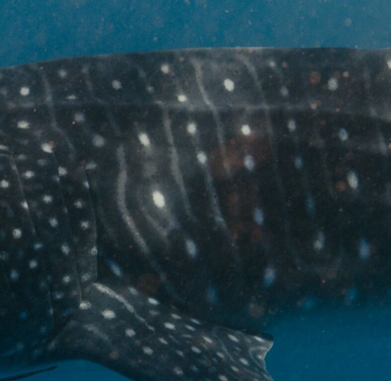 5076db4d-0a5e-415f-9541-2615a5598f62