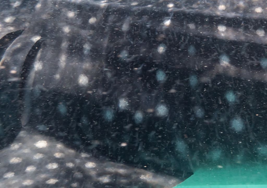 396e1e26-fb16-46ad-ad17-ae3cfad1b0f2