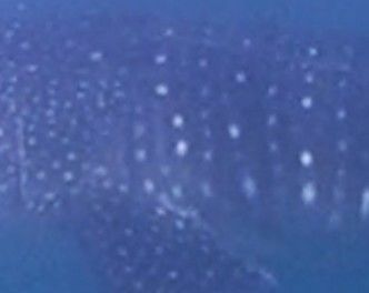 557850d9-9cc6-4497-b07e-e251803b446d