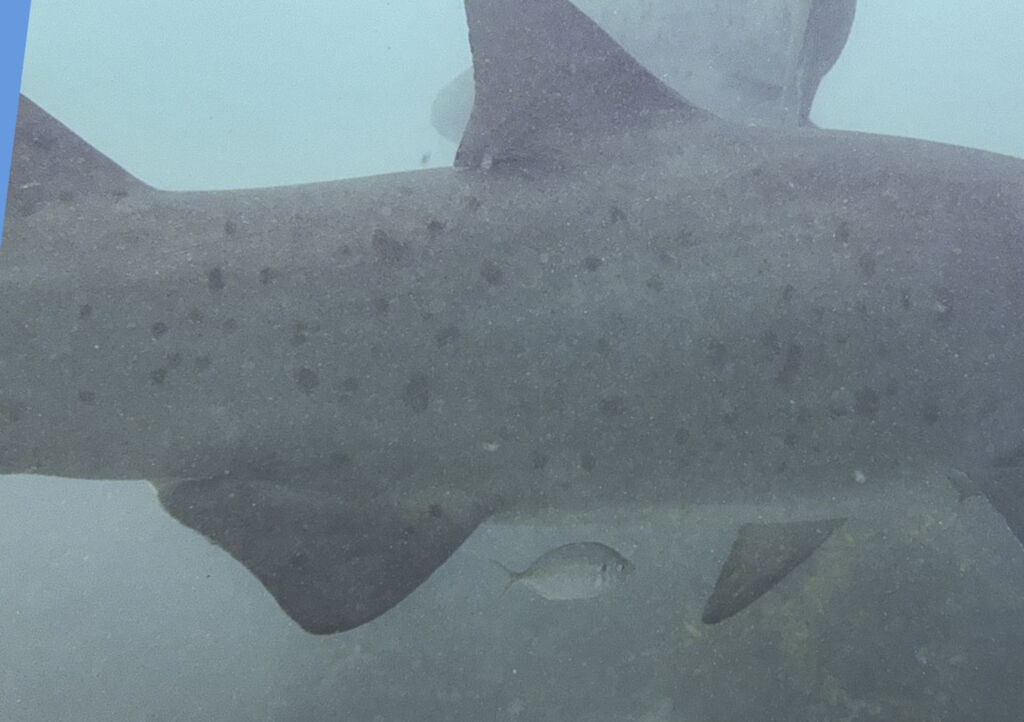 a0a8c8f6-d988-4e37-bb95-84b685602857