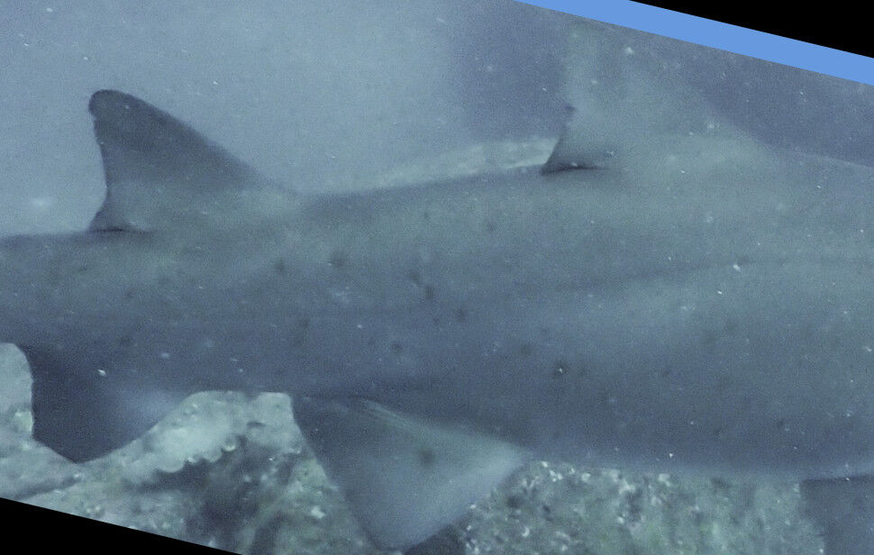 84804466-4284-48c0-b312-8518a84a5e4b