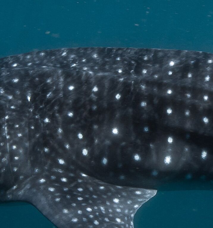 f15ff2f7-6cb2-4113-bf83-be26fc2304a0