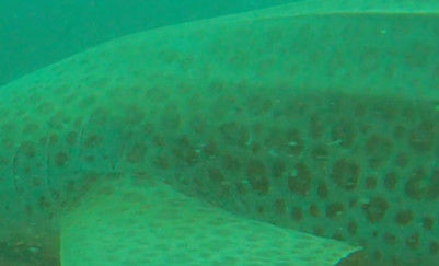 25e5f1f2-8c10-40a0-842c-e79d3b26bf53