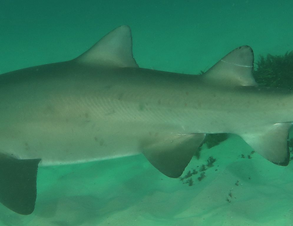 19649694-ed65-4798-b917-965097e16244