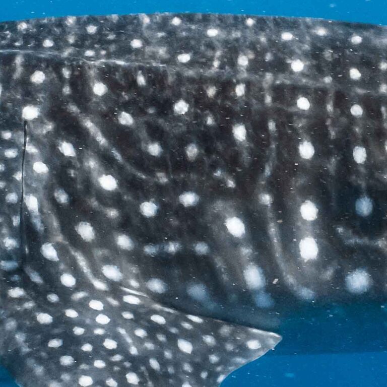 2aa0d8e1-9634-4967-ab7e-8768f46f4f23