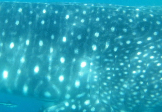 e58aa7f9-91f9-45ca-b9bf-4fedc026e944