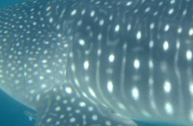 e58aa7f9-91f9-45ca-b9bf-4fedc026e944