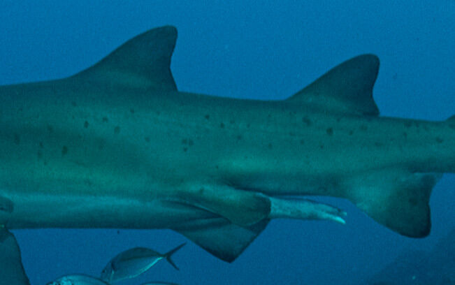 f291b4da-031c-4cbf-8b62-b1f26ab5c02a