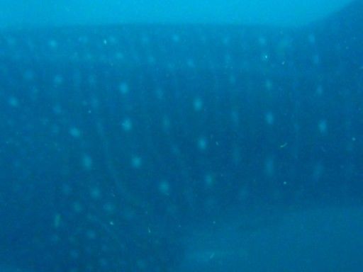 d3f7babd-77e4-414d-ab1f-37e2a04bce72