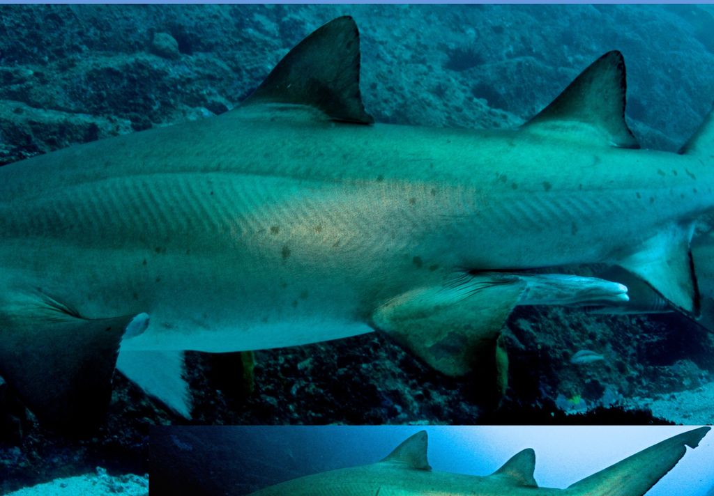 88636bb4-2505-48bd-8f71-eaefcaa36175