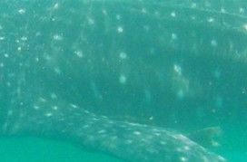 eb3901b9-d087-4ad6-816b-78d7348cbb20