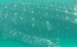 eb3901b9-d087-4ad6-816b-78d7348cbb20